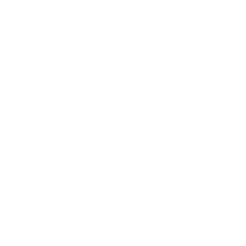 Reve de Flo